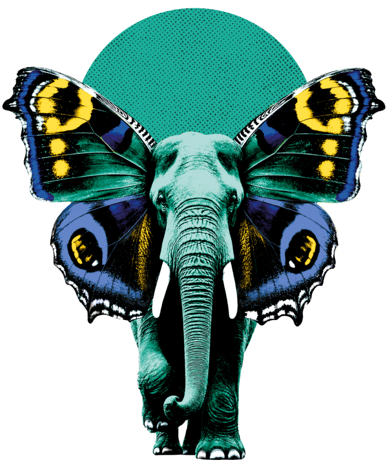 éléphant imaginaire pantai